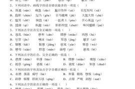 《小升初语文字音重点专项训练》