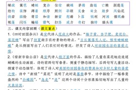 四下语文期中专项考点梳理