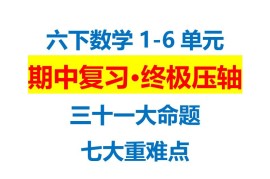 六下数学期中复习·终极压轴版（原卷版）苏教版24页