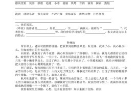 五年级语文暑假作业五下