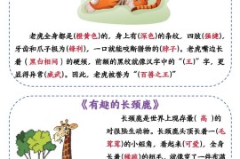 新二上语文第一单元《有趣的动物》口语交际小纸条（含空白14页）