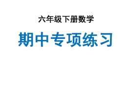 六下数学期中专项练习人教40页
