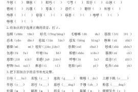 五下语文《期末总复习》