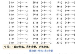 二下册数学有余数的除法五大专项（含答案13页）