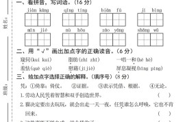 25年四下语文期中真题检测卷