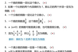 【2025秋新版】六年级上册数学倒数的认识易错判断题