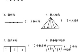 四上数学巧数构图