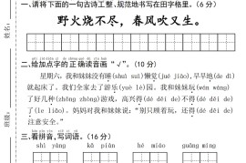 25新一下语文期中拔尖检测卷-野火烧不尽(含答案5页)