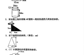 【人教版】六下数学期中复习四大专题精炼(专题四：图形计算)(已优化)