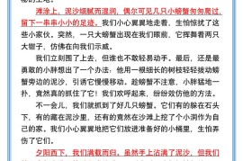 小学生必写『暑假的一天』优秀范文精选-小升初语文