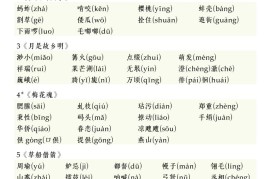 五下语文期中复习八大专题