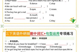 三下英语外研版期中词汇+句型运用专项
