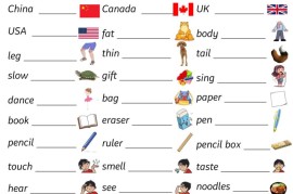 三下人教PEP版英语三大专项汇总5页