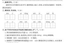 六年级语文下册第二单元培优提升卷