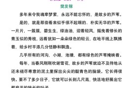 小学生暑假每日晨读美文-小升初语文