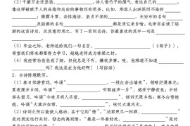 小升初语文【备考复习名句名言警句积累默写高频考点（情境默写）】pdf