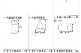 六下数学《圆柱和圆锥的计算专题特训》