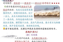 四上语文课后练习题参考答案31页