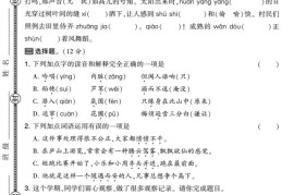 25学年四上语文期中素养达标卷（含答案5页）