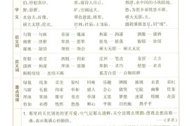 25秋六上语文1-8单元核心知识梳理12页