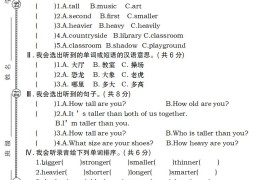 【英语】【人教pep版】2025年六年级下册第一单元综合测试卷英语试卷（二）